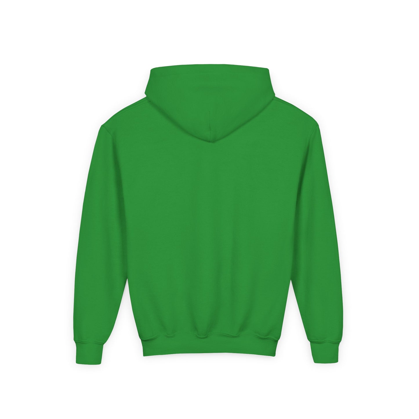 Dinosaur Back to School Hoodie for Kids, Youth Sweatshirt, Fun School Outfit, Gifts for Boys and Girls, Cute Dino Apparel
